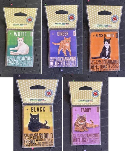 Cat fridge magnet - fridge,
