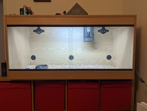 Bearded dragon vivarium - bearded,