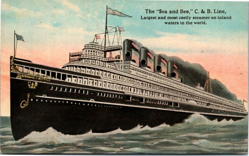 Postcard steamer sea bee - steamer,