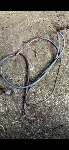 Honda pf50 graduate wiring - honda,