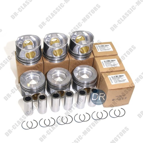 Pistons rings set std - set,