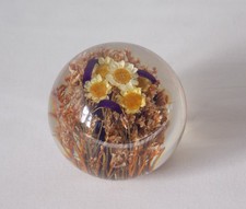 Hafod grange paperweight dried - hafod,