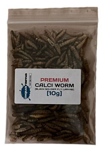 Premium dried calci - premium, worms