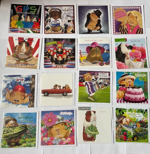 Guinea pig birthday - pig, greetings