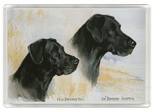 Labrador retriever dog fridge - dog,