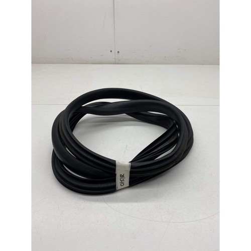 Renault clio door sill rubber - door,