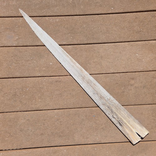 Swordfish bill all - bill, natural
