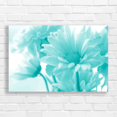 Soft tone daisy flower - soft, bouquet
