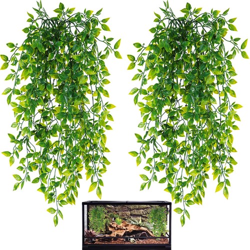 Hercocci reptile plants 2 - plants,,