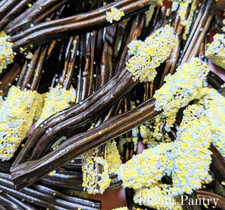 BARRATT LIQUORICE WANDS Sweet