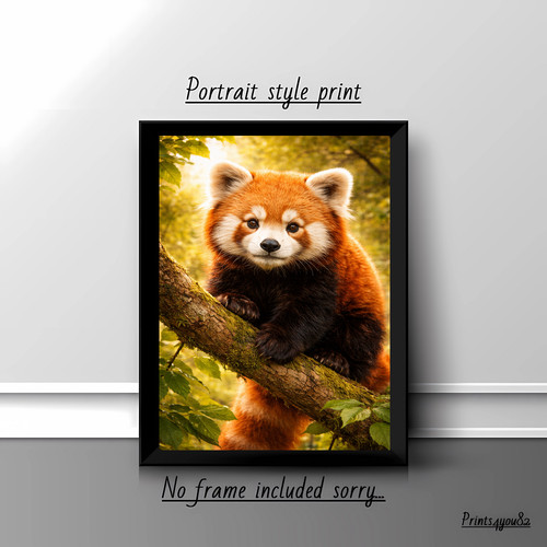 Red panda tree branch - tree,