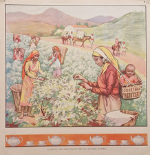 1950's Vintage Macmillan