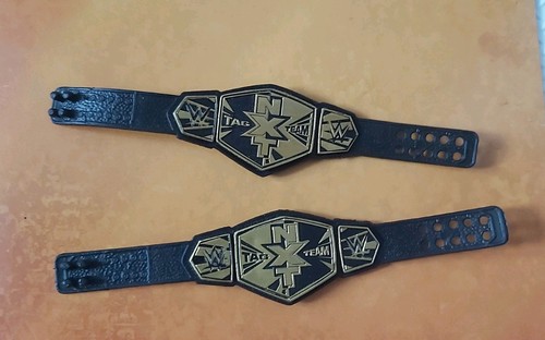 Elite nxt tag team - nxt, title