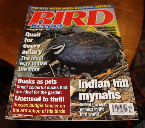 Birdkeeper december 2000 - 2000, ~
