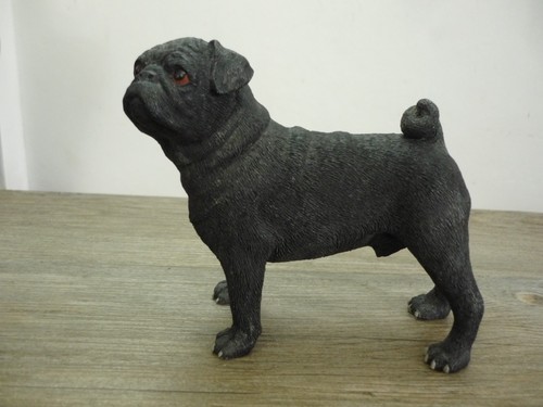 Black pug puppy dog - black,