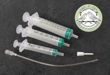 Baby bird finch hand rearing