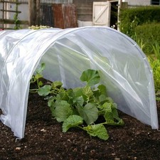Poly tunnel cloche mini - cloche,