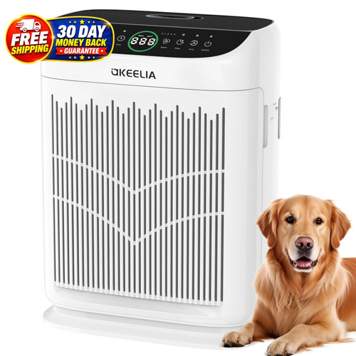 Air purifiers for home large - for,