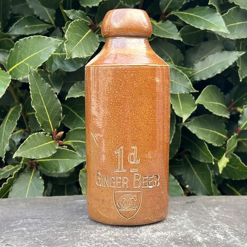 Ginger beer old - 1d,