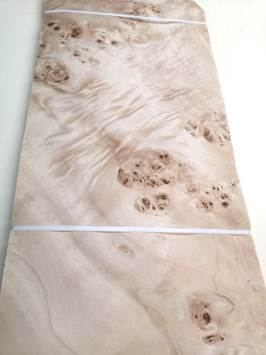 Poplar mapa burl burr - burl, veneer