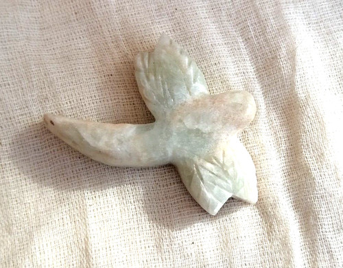 Caribbean calcite dragonfly - caribbean,