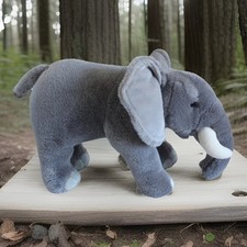 Born in Africa African