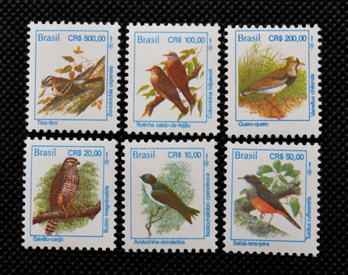 Birds dove hawk swallow - ~,