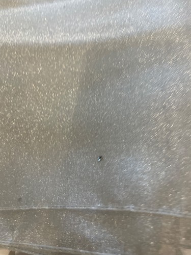 Glamorous silver transparent