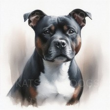 STAFFY STAFFORDSHIRE Bull
