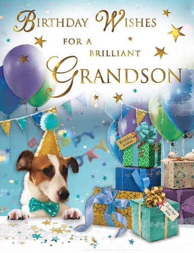Grandson birthday card male - birthday,