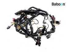Wiring Harness (Main) Kawasaki