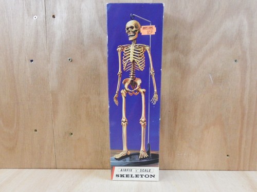 Airfix skeleton model - 1:6,