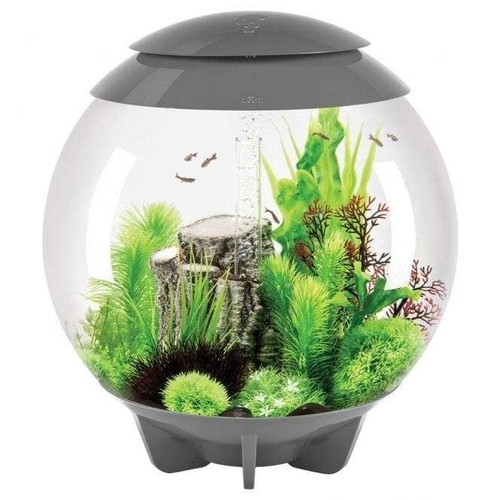 Biorb halo aquarium with - biorb, 60