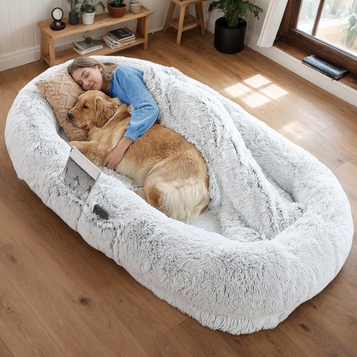 Oversized orthopedic human dog - human,