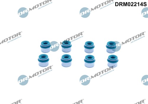Seal ring valve stem motor - stem, dr.motor