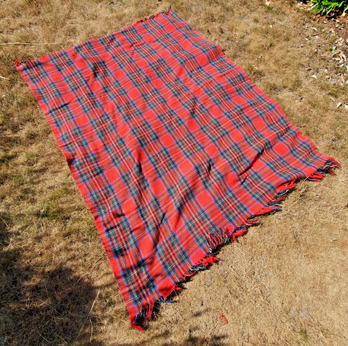 Travel rug picnic blanket - travel,