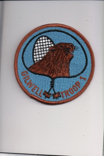 Beaver gilwell troop 1 - wb-29,