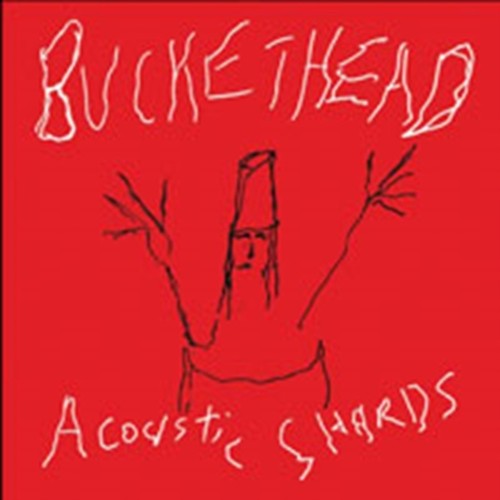 Acoustic shards buckethead - shards,