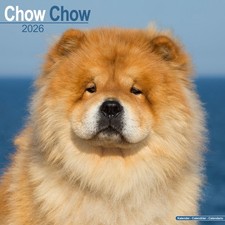 Chow Chow 2026 Calendar