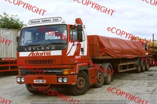 Truck photo duncan adams - truck,