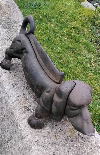 Dachshund sausage dog heavy - sausage,