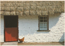 Irish farm cottage peter - irish,