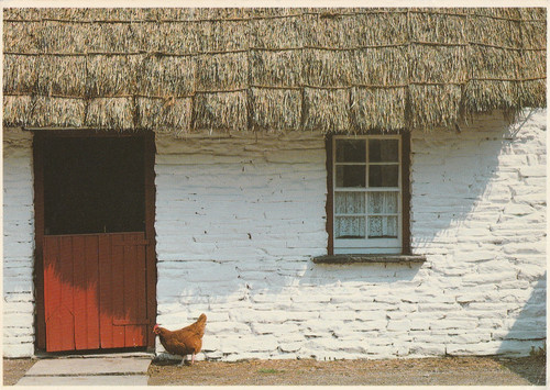 Irish farm cottage peter o - irish, cottage,