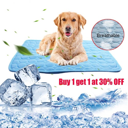 Pet self cooling - self, dog