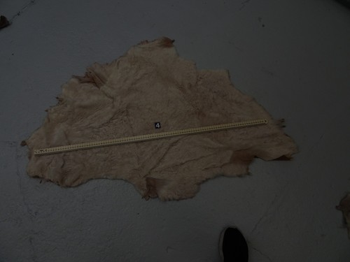Goat skin leather - goat,