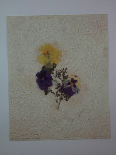 Pansy patch vintage - –,