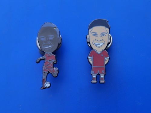 Liverpool pin badges - pin,