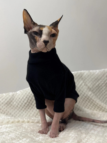Ribbed viscose sphynx - viscose, cat