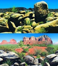 Aquarium Fish Tank Background