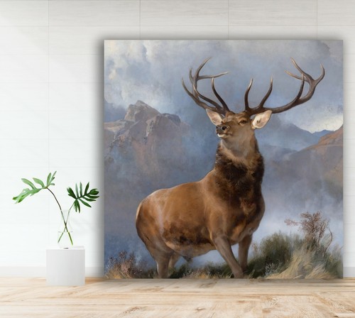 The monarch - glen,